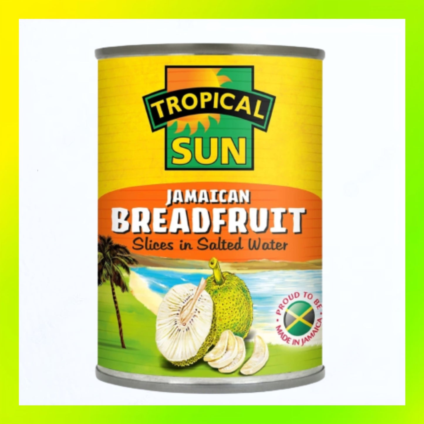 Tropical Sun Breadfruit Slices 540g