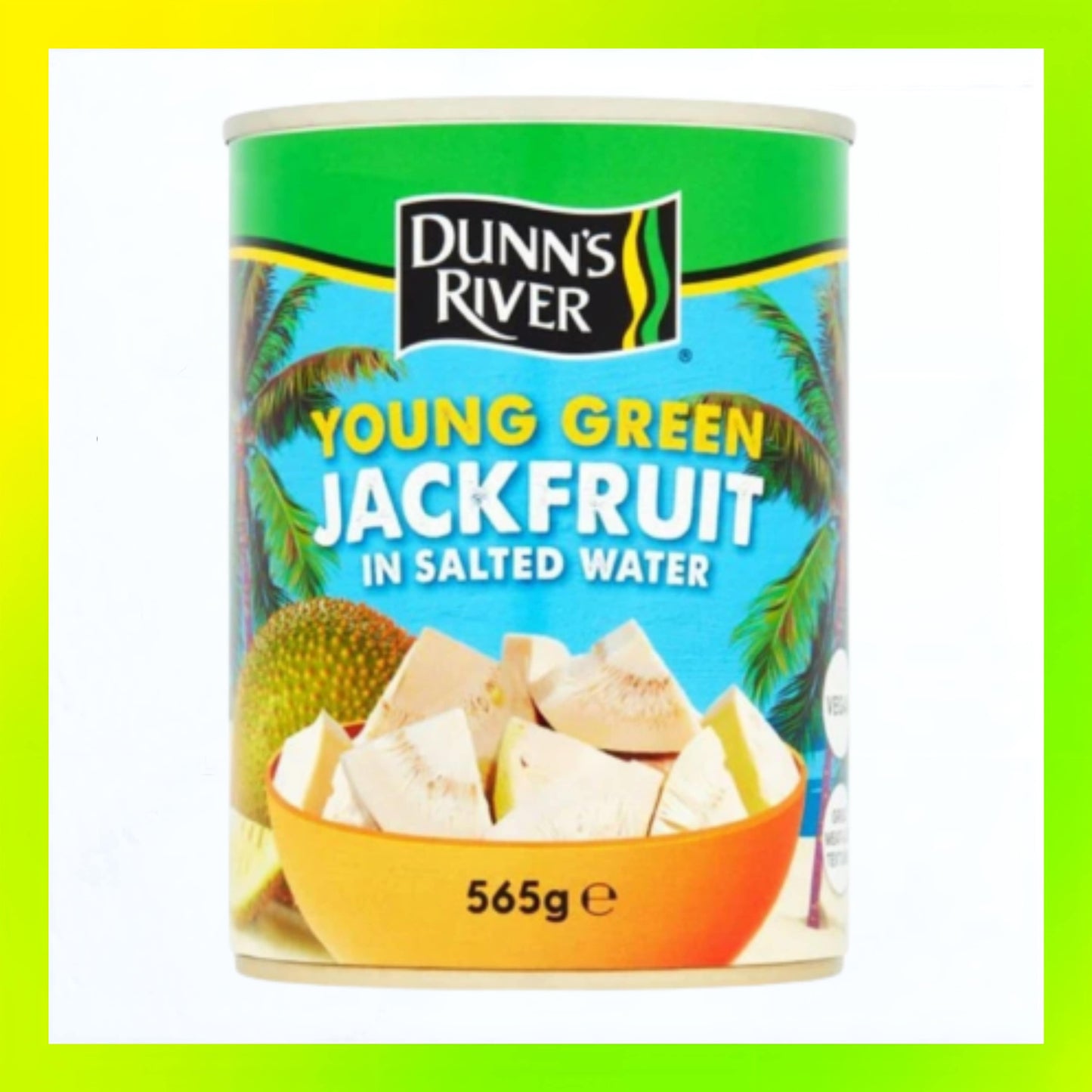 Dunn's River Young Green Jackfruit 565g