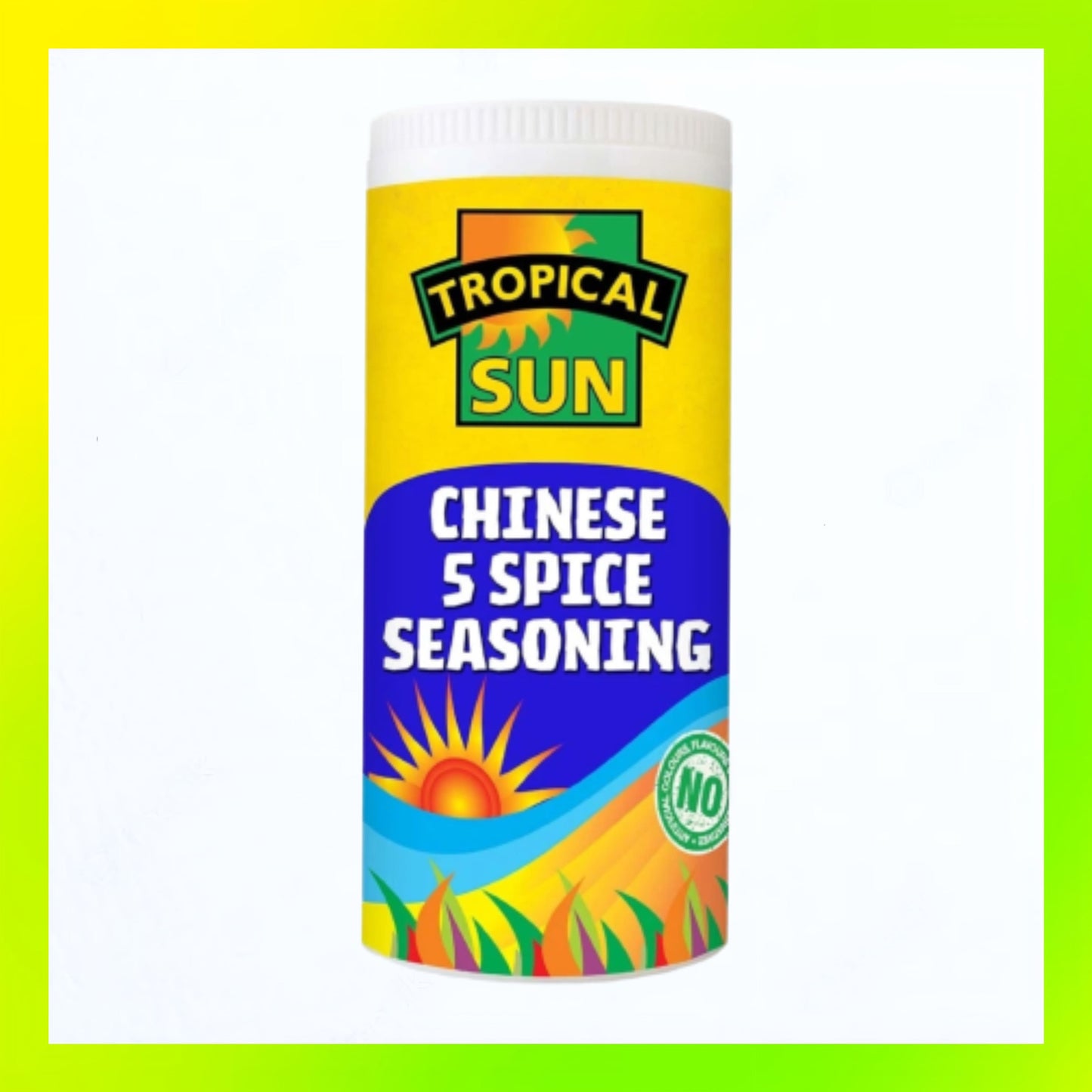 Tropical Sun Chinese 5 Spice Seasoning 100g