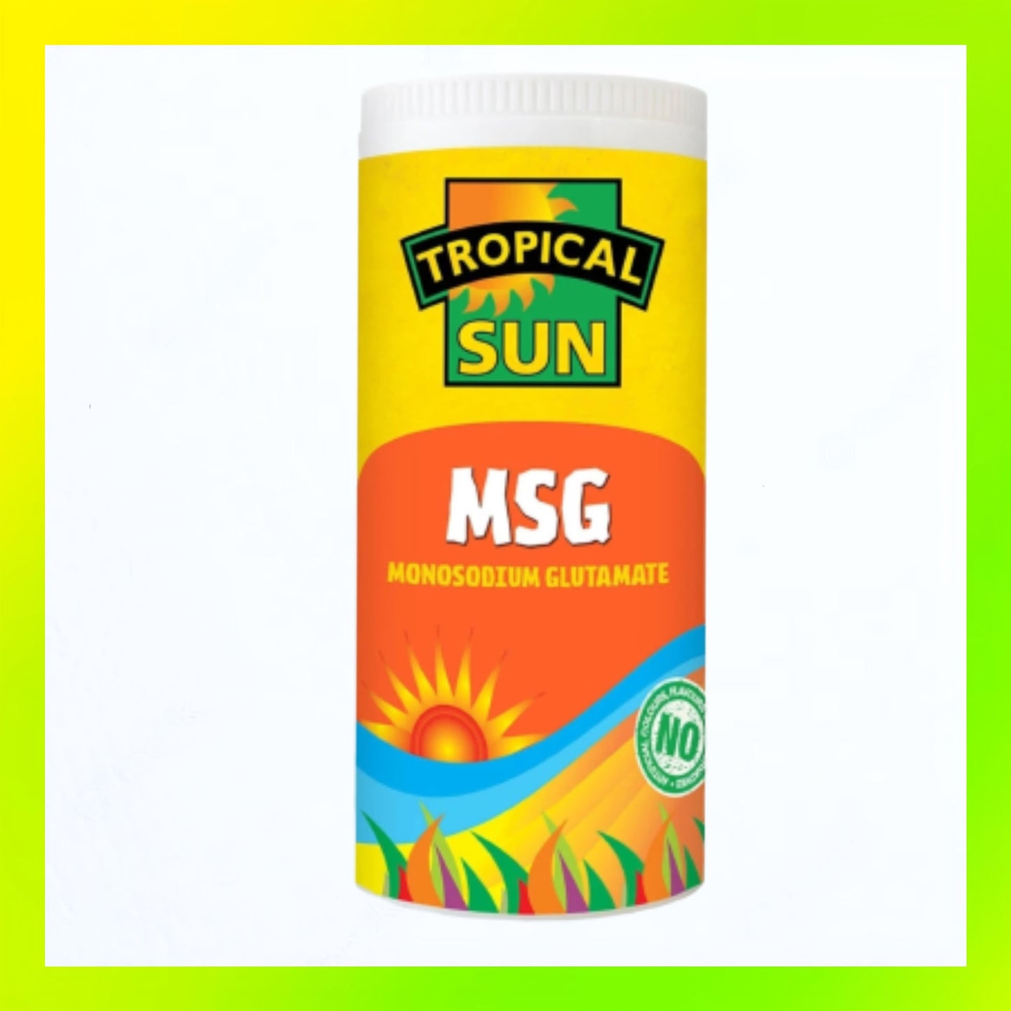 Tropical Sun MSG (Flavour Enhancer) 100g